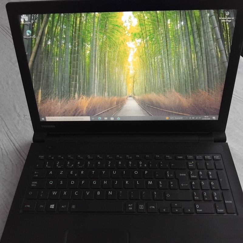 Toshiba Satellite Pro